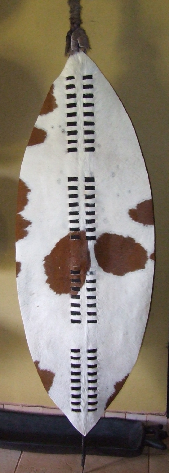 Zulu War Shield (Shaka size) in Dlondlo (Poisonous Snakes) Regiment