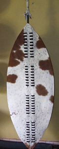 Zulu War Shield (Shaka Size)in Dlondlo (Poisonous Snakes) Regiment